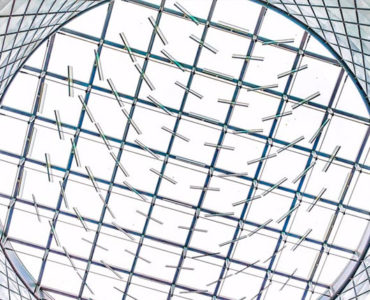 Maloya Project: Fulton Street Oculus